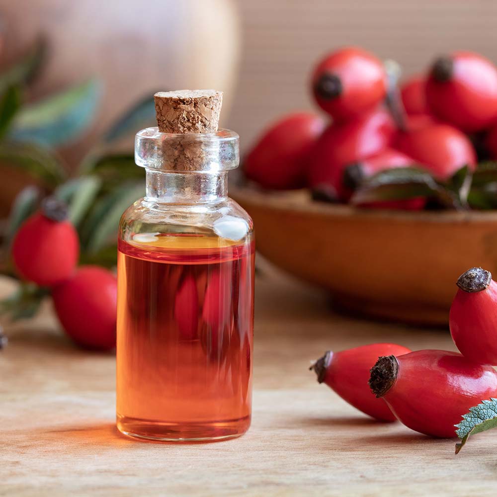 Bondi Bodz Rosehip Oil Benefits